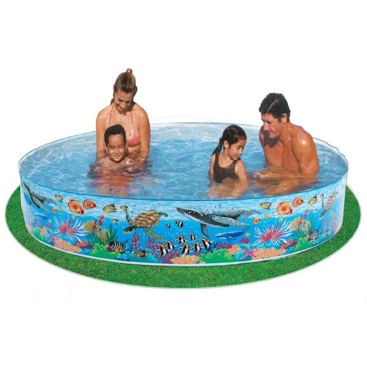 INTEX Coral Reef Snapset Pool (8' x 1'6")