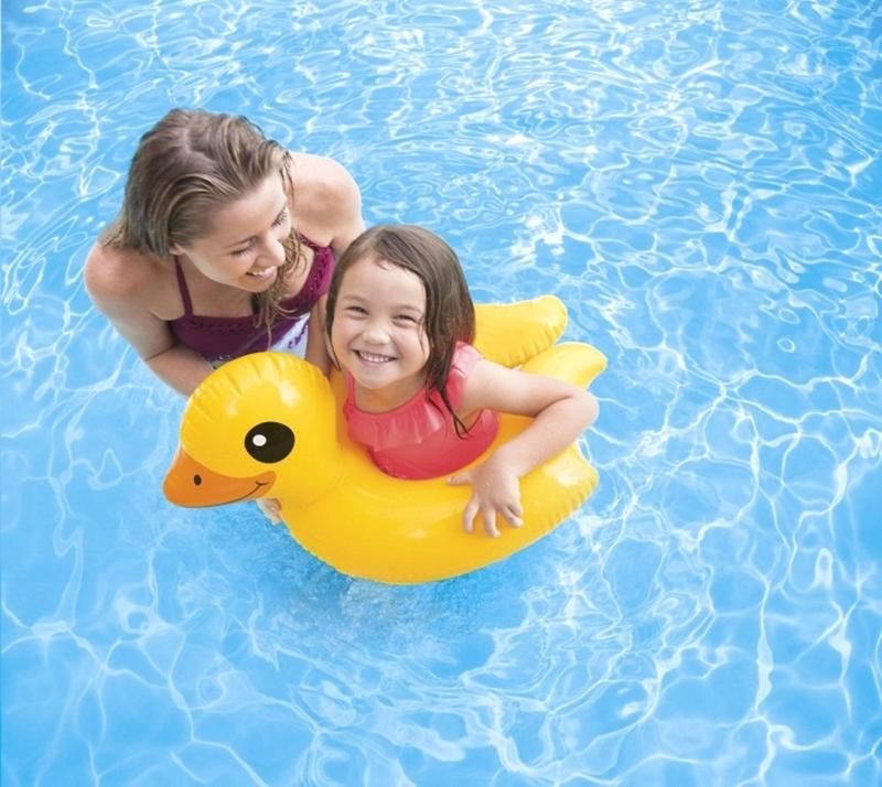 INTEX Animal Split Ring Zebra ( 25" x 21" ) Duck ( 24.5" x 22.5" ) Penguin ( 25" x 25" )